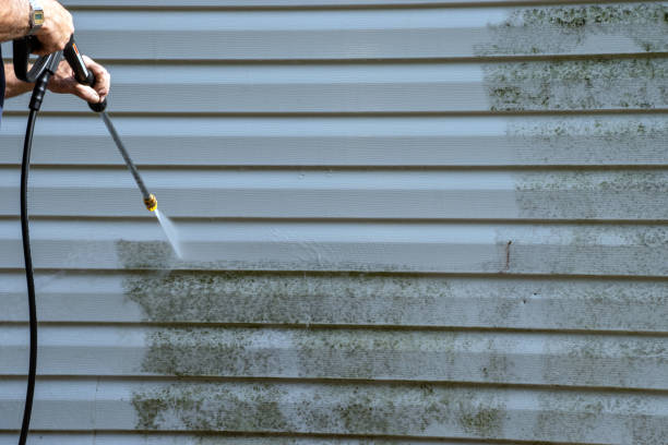 Best Hoarding Cleanup  in Spanish Fort, AL